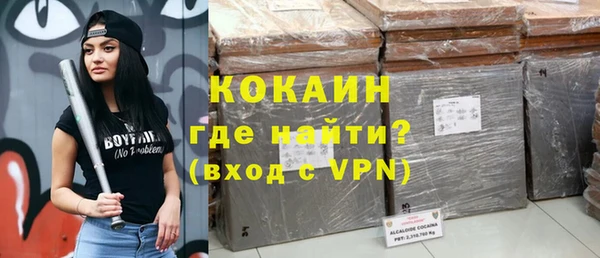 твердый Алзамай