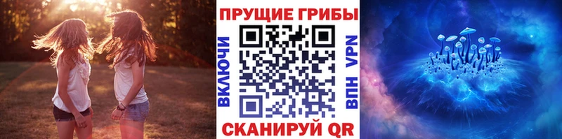 Галлюциногенные грибы Magic Shrooms Владимир