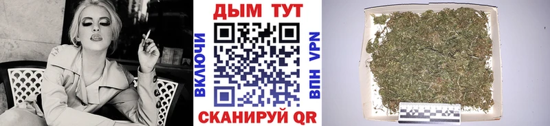 Шишки марихуана Bruce Banner  купить закладку  Владимир 